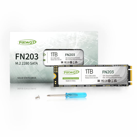 ฟิกวอต FN203 1TB M.2 SATA III SSD