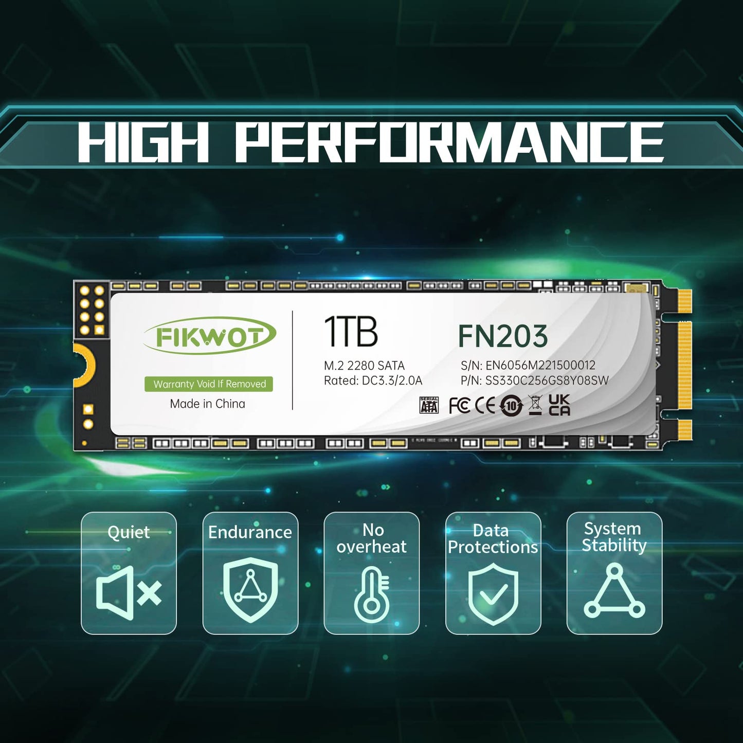 ฟิกวอต FN203 1TB M.2 SATA III SSD
